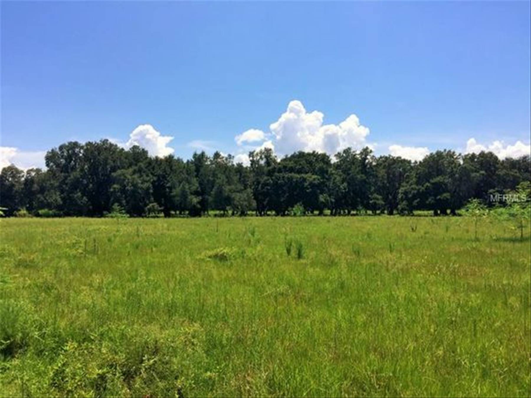 main property photo