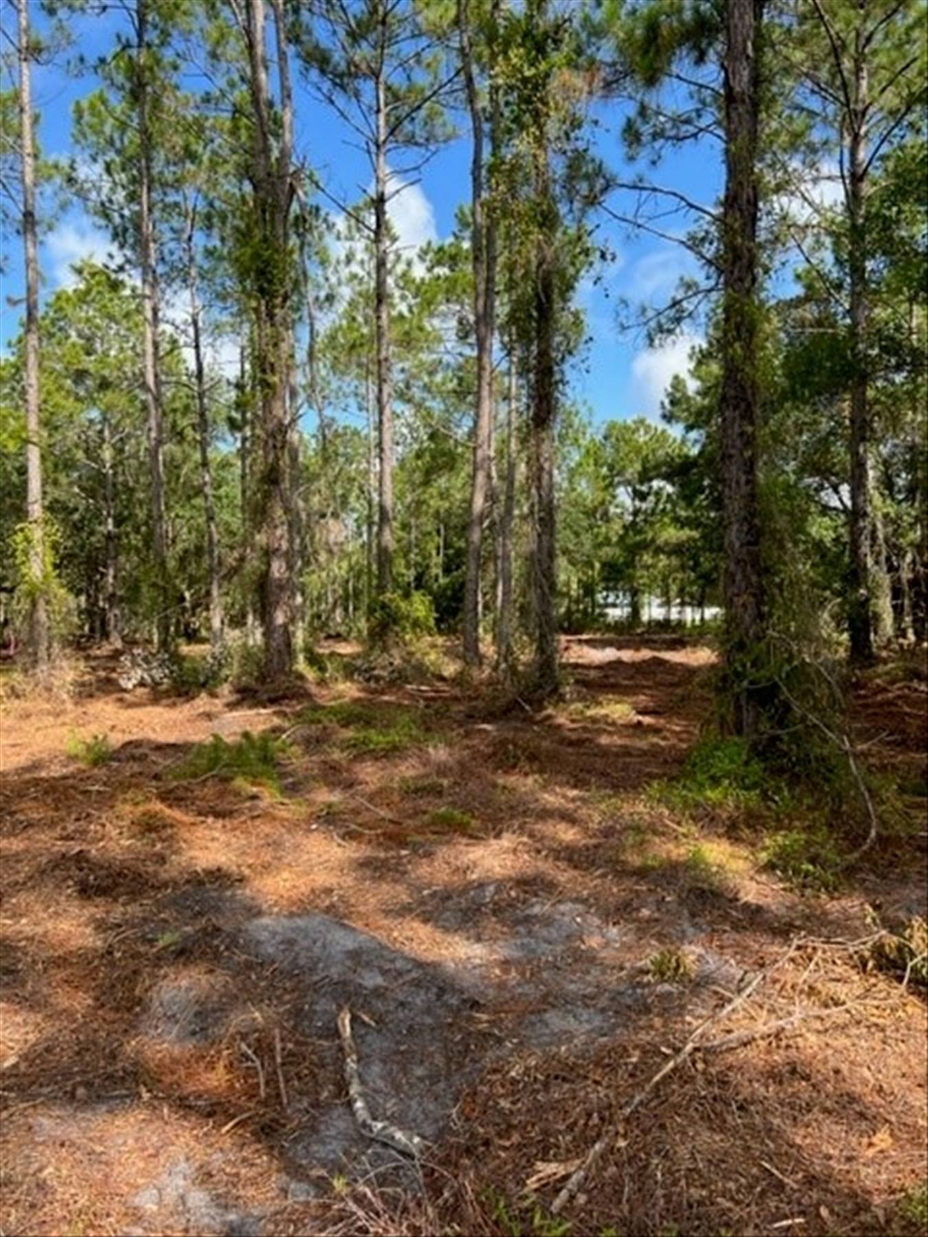 main property photo