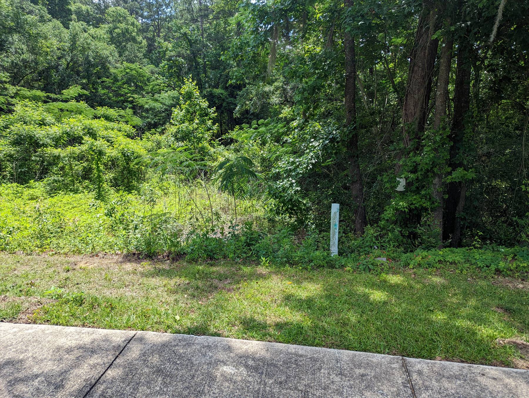 main property photo